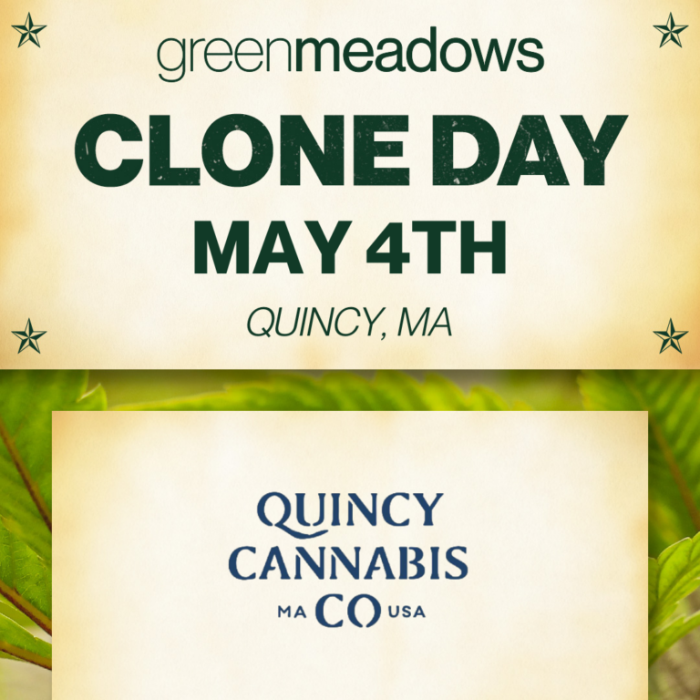 Quincy Cannabis Co. Marijuana Dispensary Quincy MA